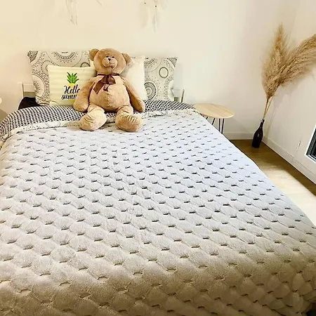 Cosy And Spacious Near Metro Line 4 & Rer B